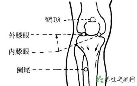 鶴頂穴位置|鶴頂穴在哪裡